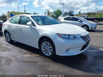  Salvage Lexus Es