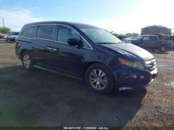  Salvage Honda Odyssey