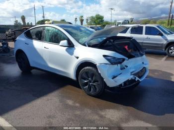  Salvage Tesla Model Y