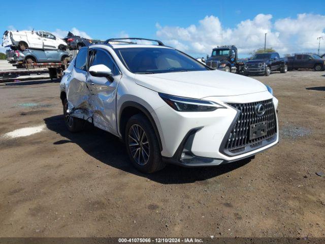  Salvage Lexus NX