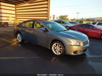  Salvage Nissan Maxima