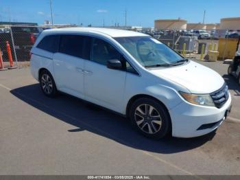  Salvage Honda Odyssey