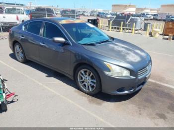  Salvage Nissan Maxima