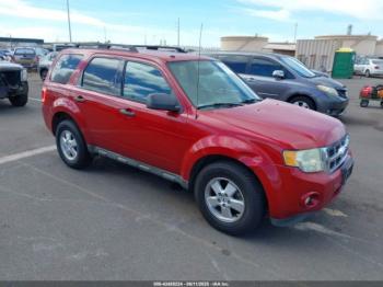  Salvage Ford Escape