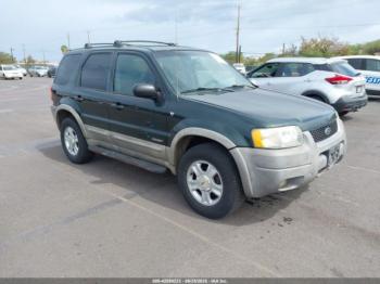  Salvage Ford Escape