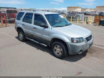  Salvage Ford Escape