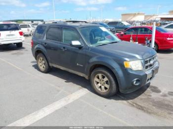  Salvage Ford Escape