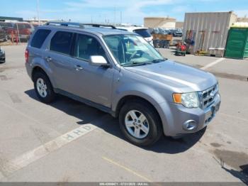  Salvage Ford Escape