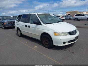  Salvage Honda Odyssey