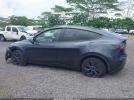 Tesla Model Y Image 15