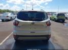 Ford Escape Sel Image 5