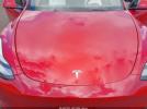 Tesla Model Y Image 10