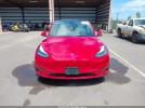 Tesla Model Y Image 13