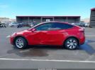 Tesla Model Y Image 15