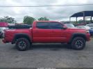 Toyota Tacoma Image 12