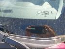 Nissan Kicks Sv Xtronic Cvt Image 10