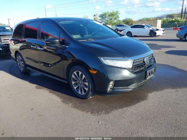  Salvage Honda Odyssey