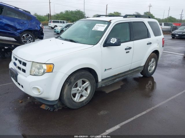 Ford Escape Image 12