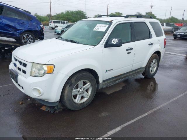 Ford Escape Image 12