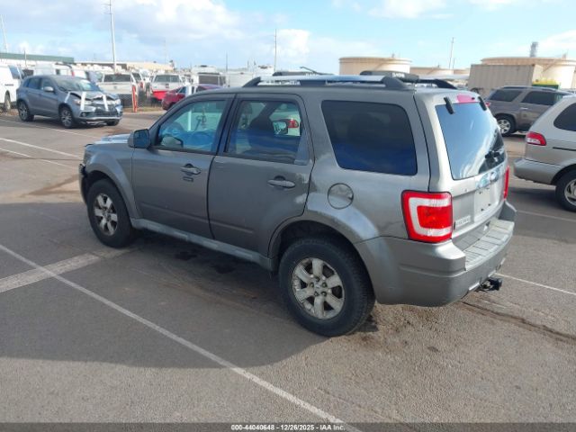 Ford Escape Limited Image 6