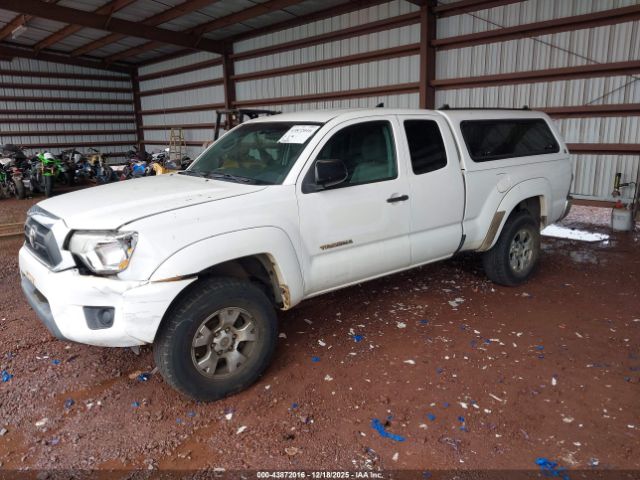 Toyota Tacoma Prerunner Image 10