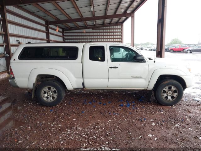 Toyota Tacoma Prerunner Image 2