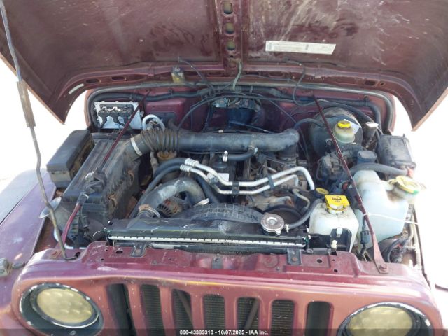 Jeep Wrangler Sahara Image 14