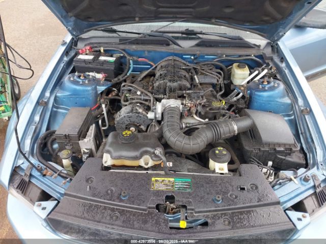 Ford Mustang Image 6