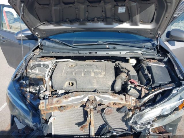 Toyota Corolla Le Image 11