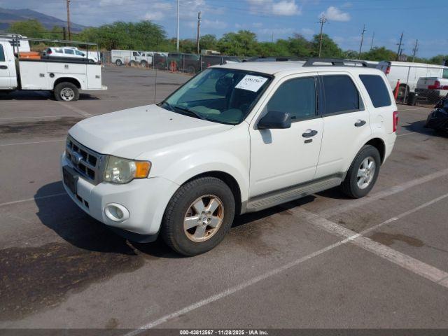 Ford Escape Xlt Image 3