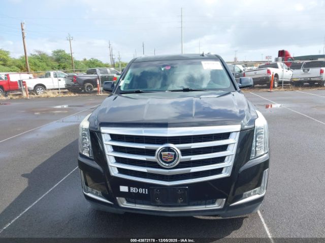 Cadillac Escalade Standard Image 13