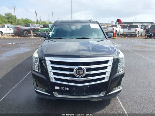 Cadillac Escalade Standard Image 14