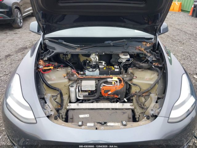 Tesla Model Y Long Range Dual Motor All-wheel Drive Image 7